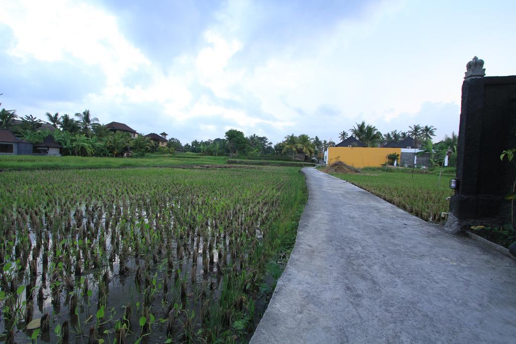 Pondok Buda Merta Ubud  Exterior photo